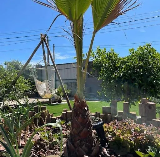 Casa Em Madeira Com Jardim Privado ペニシェ